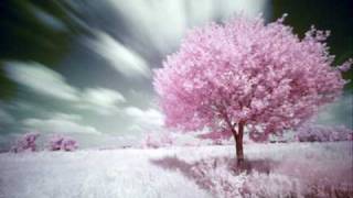 Terra Blu - Cristina Donà