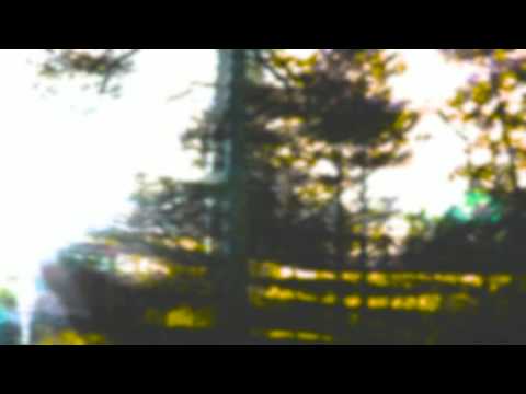 K.Larm & J.Raninen - Sleepers sled