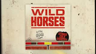 Kadr z teledysku Wild Horses tekst piosenki Little Big Town