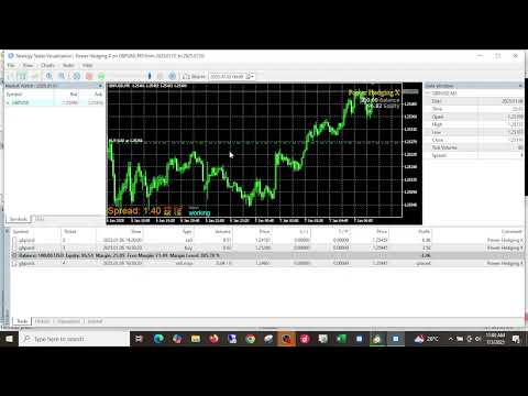 Video Power Hedging X