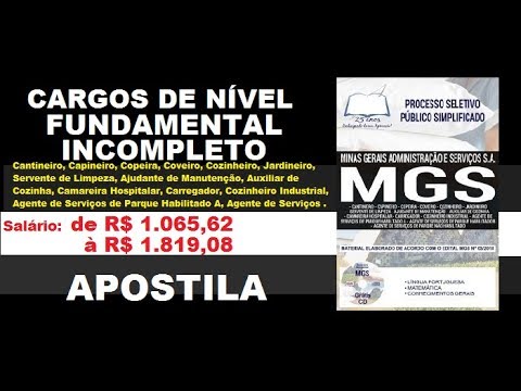 Apostila Processo Seletivo Público Simplificado MGS 2019 Cargos Nível Fundamental Incompleto