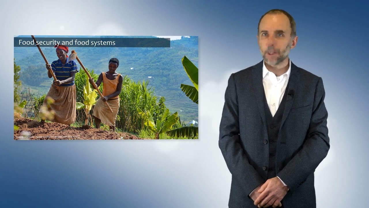 Towards Zero Hunger - Food Security and Food Systems