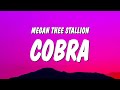[1 HOUR]  Megan Thee Stallion - Cobra (Lyrics)