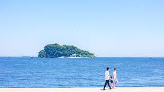 横須賀市 うみかぜ公園