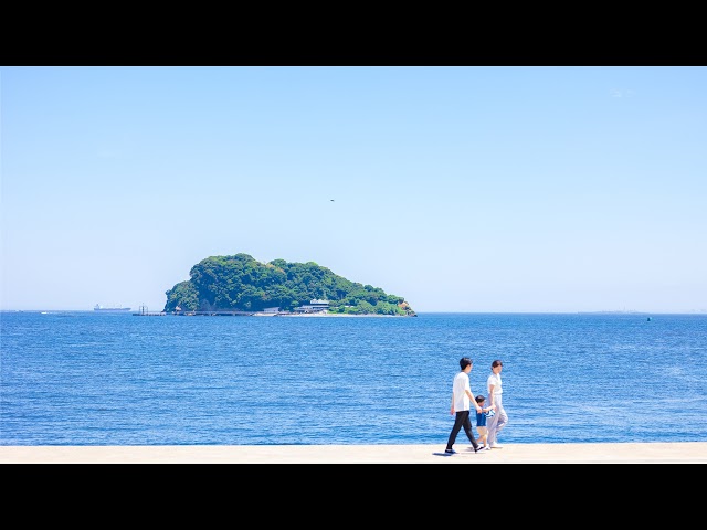横須賀市 うみかぜ公園