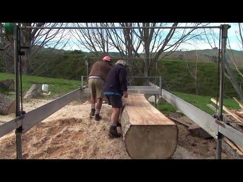 New Zealand poplar farm milling - milling your own logs