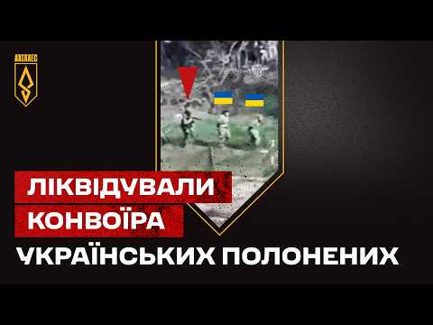 Відеозвіт #3