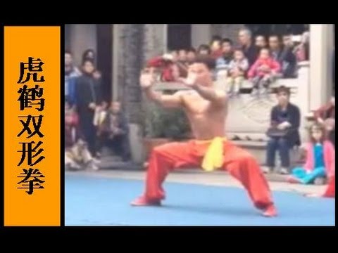 Tiger & Crane Fist or 'Hu He Shuang Xing Quan' (虎鹤双形拳) - Foshan Wushu School