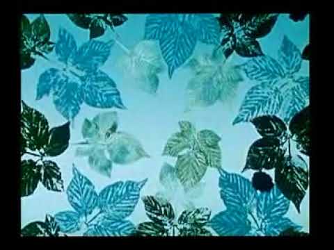 Křemílek a Vochomůrka - jak učesali vílu