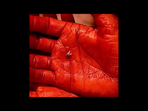 Fingers HUGO FATTORUSO, AIRTO, DAVID AMARO, JORGE FATTORUSO, RINGO THIELMANN, CTI Records