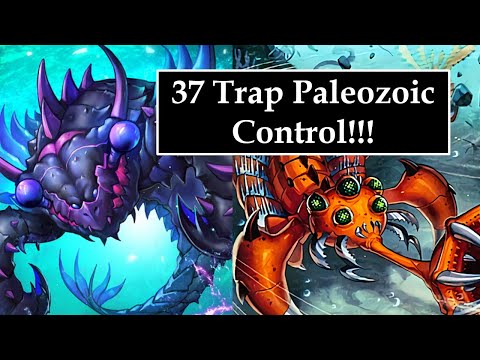 Pure Paleozoic Control! - Yugioh Deck Profile