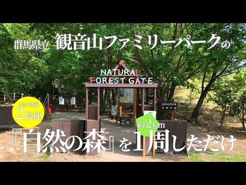Sólo una vuelta por el "Bosque Natural" del Kannonyama Family Park