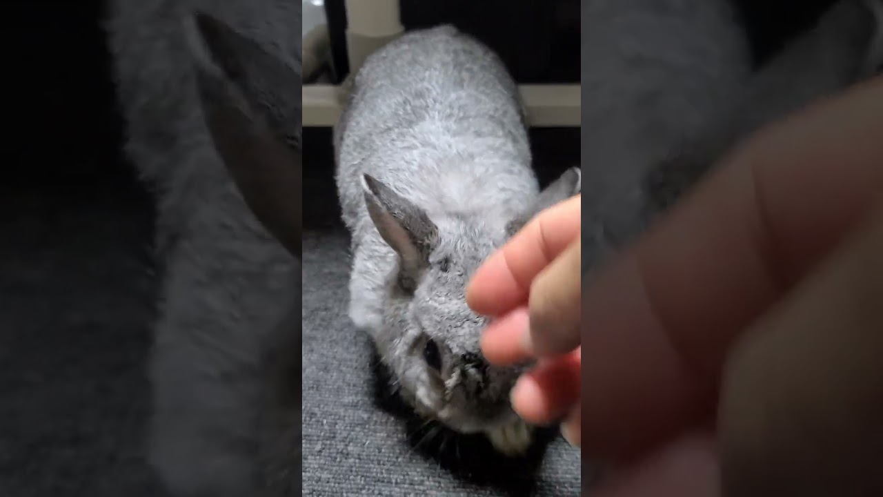 マッピー超絶かわいい♥♥♥