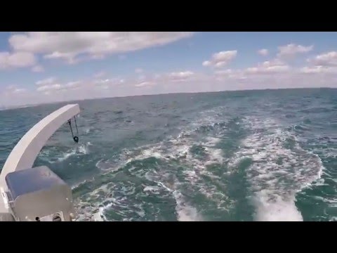 X5 Sail exterior & interior