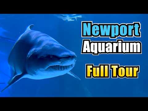 Newport Aquarium
