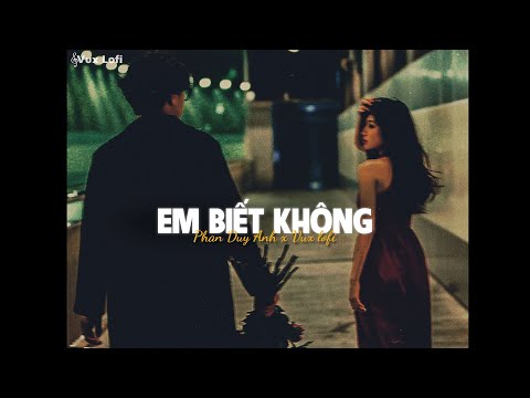 EM BIẾT KHÔNG (Lofi Ver) - Phan Duy Anh x VUX|Người Ta Sống Với Em Thế Nào Sao Hương Sắc Em Phai Màu
