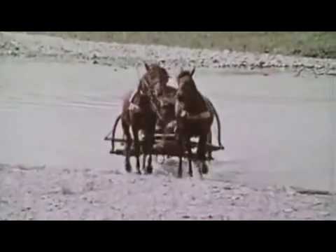 Ion Maovei - Frunzulita bob naut