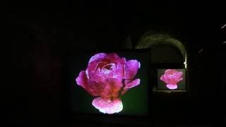 WWW What a Wonderful World