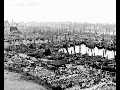 Old Pulteney 15 YO, Whisky for the Herring Boom