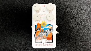 Electro Harmonix Canyon - Unboxing and First Impressions