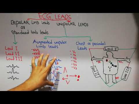CVS physiology 23. ECG leads, bipolar and unipolar leads