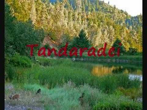 Walther von der Vogelweide - Under der Linden (English subs)