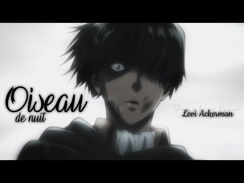 AMV || Oiseau De Nuit (Nuit Incolore) (Lyrics)