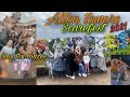 Alton Towers SCAREFEST Vlog Done All 4 Mazes
