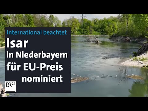 Natur erholt sich: Wilde niederbayerische Isar für EU-Auszeichnung nominiert | Abendschau | BR24