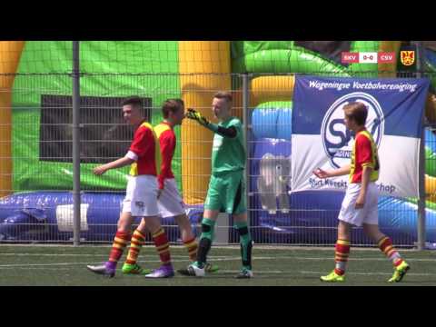Samenvatting SKV C1 - csv Apeldoorn C1