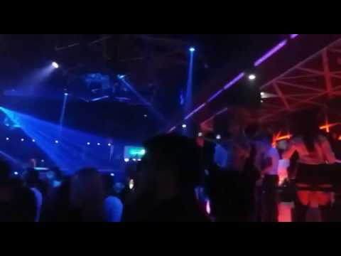 Gjiko the flyboy ✈