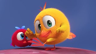 The Whoopee Cushion | Where's Chicky? | Cartoon Collection in English for Kids | New episodes