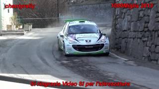 preview picture of video 'rally 1000 miglia 2013 ps2 irma due telecamere'