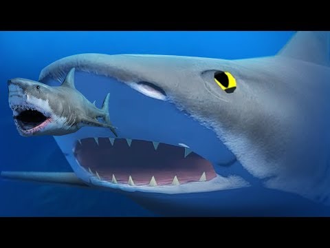 GIANT BLACK TIP SHARK! - Feed and Grow Fish - Part 78 | Pungence