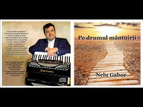 Nelu Gabor - Să nu mai dai uitării [Official Audio]