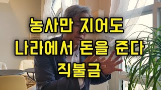 농사만 지어도 돈을 주는 나라 ! 직불금에 대해 알려드립니다