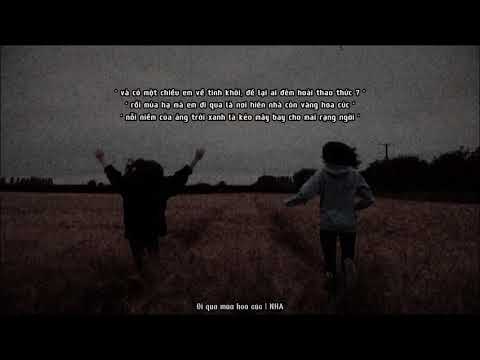 đi qua hoa cúc | NHA cover