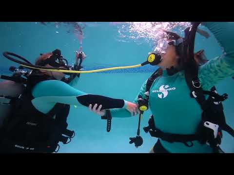 PADI Skill Circuit: Alternate Air Source Ascent with a Buddy