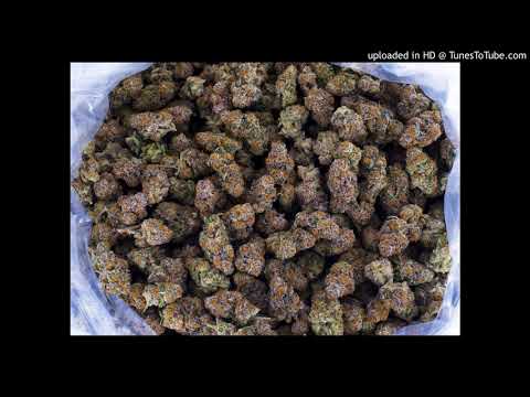 Grizzly of GNS- Feelin Good ft Chris Cruz