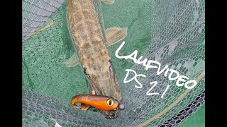 Revolution Tackle Dag Shad 21cm Mad Max I