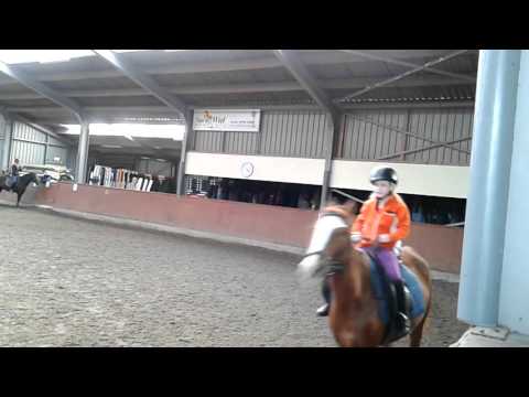 #3 Ponyrijden met Robbedoes 09-03-2016