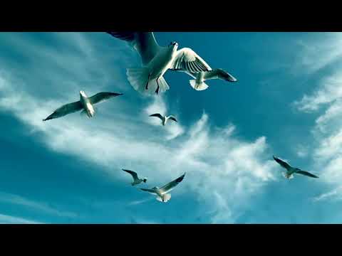 The Departure Lounge Awaits