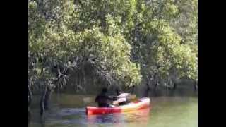 Teruoubra kota 7 DEC 2013