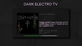 The Crüxshadows - Tears (Apoptygma Berzerk Remix) (Futurepop) (2003)