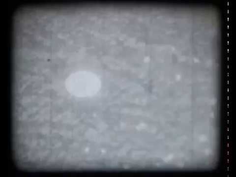 O chapéu do metafísico - II