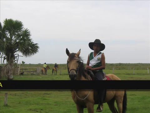EL CARRAITO DE BARINAS MI CABALLO Y YO
