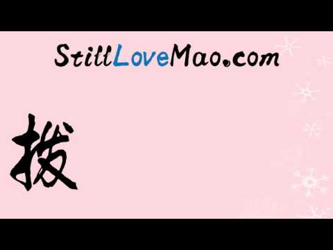 How to Write and Say allocate money in Simplified Chinese