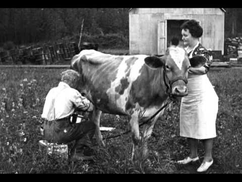 Funny four - Koetje boe ( 1969 )