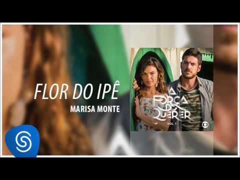 Video thumbnail for Flor do Ipê