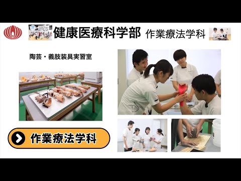 健康医療科学部 作業療法学科 紹介 - 医療創生大学